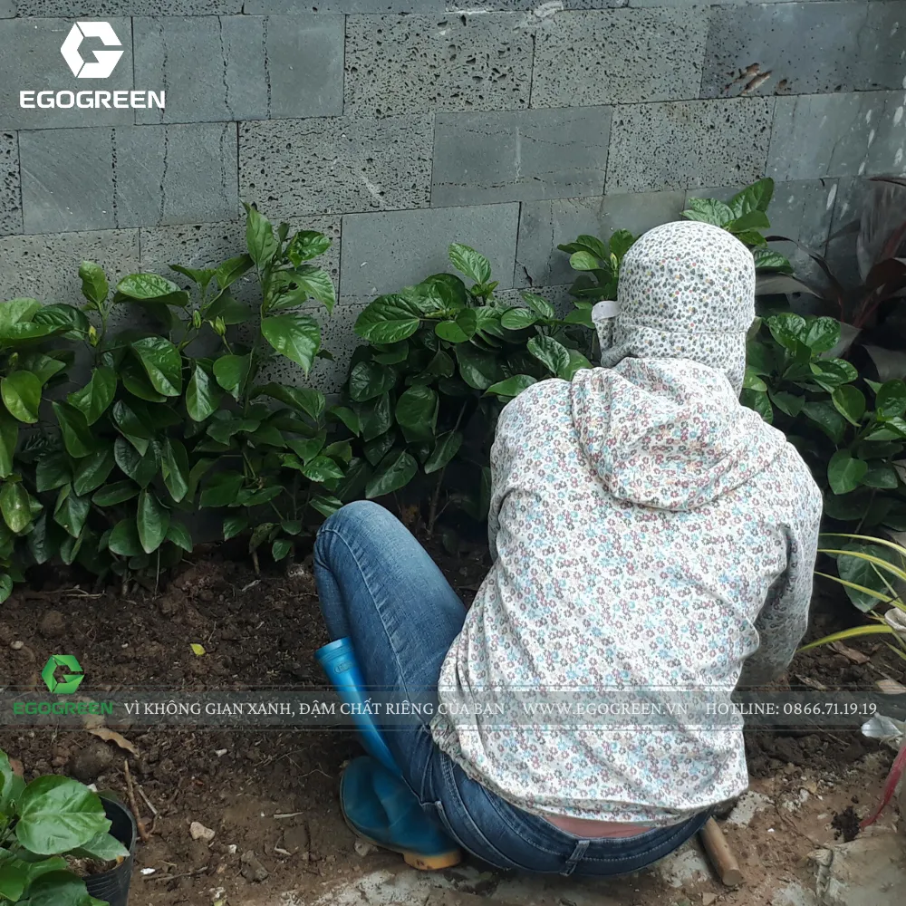 Chúng tôi đổ đất với độ dày phù hợp.